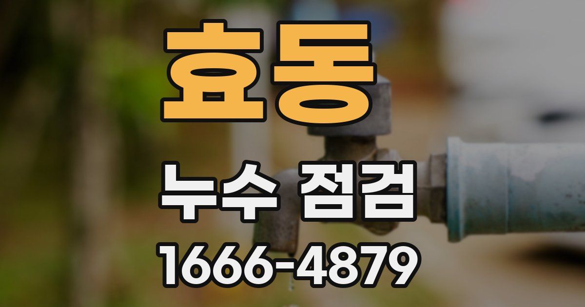 효동 누수 점검