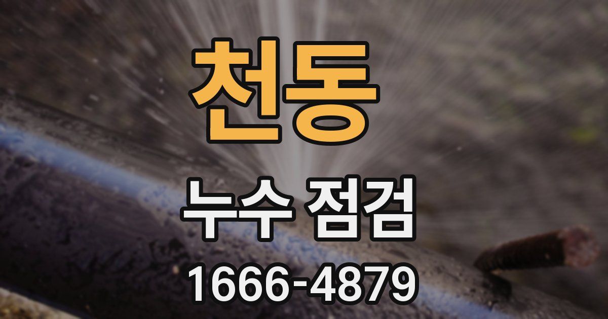 천동 누수 점검