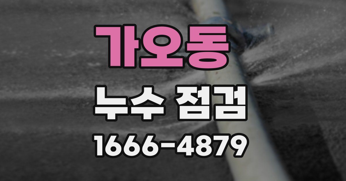 가오동 누수 점검