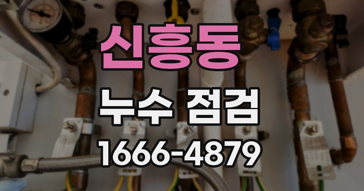 신흥동 누수 점검