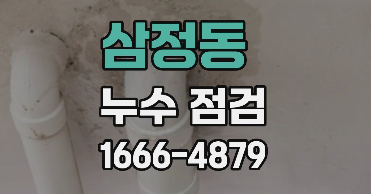 삼정동 누수 점검
