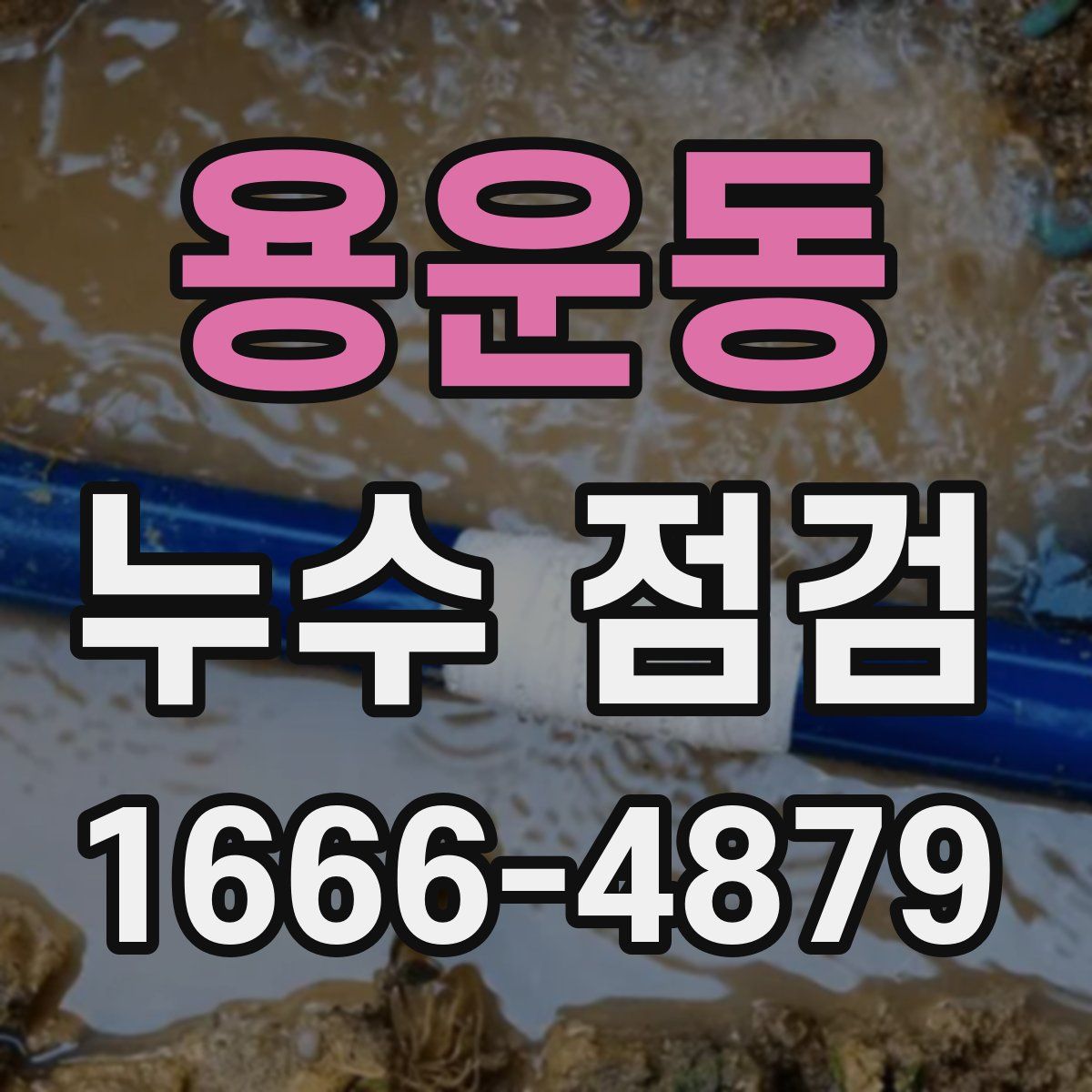용운동 누수 점검