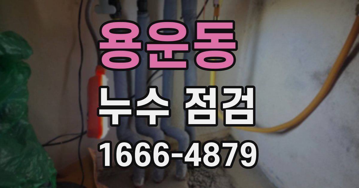 용운동 누수 점검