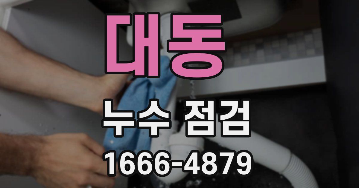 대동 누수 점검