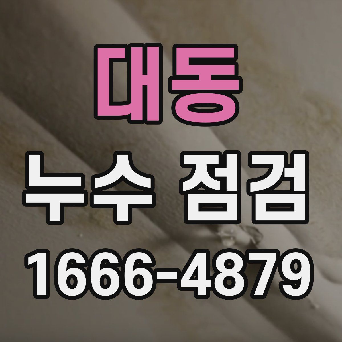 대동 누수 점검