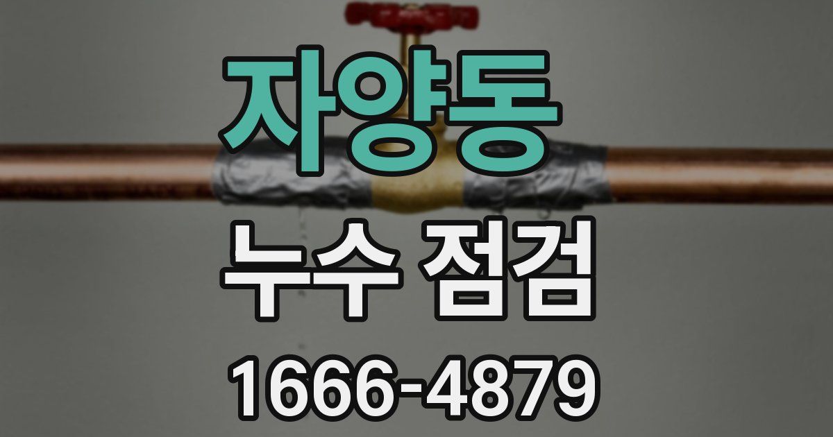 자양동 누수 점검