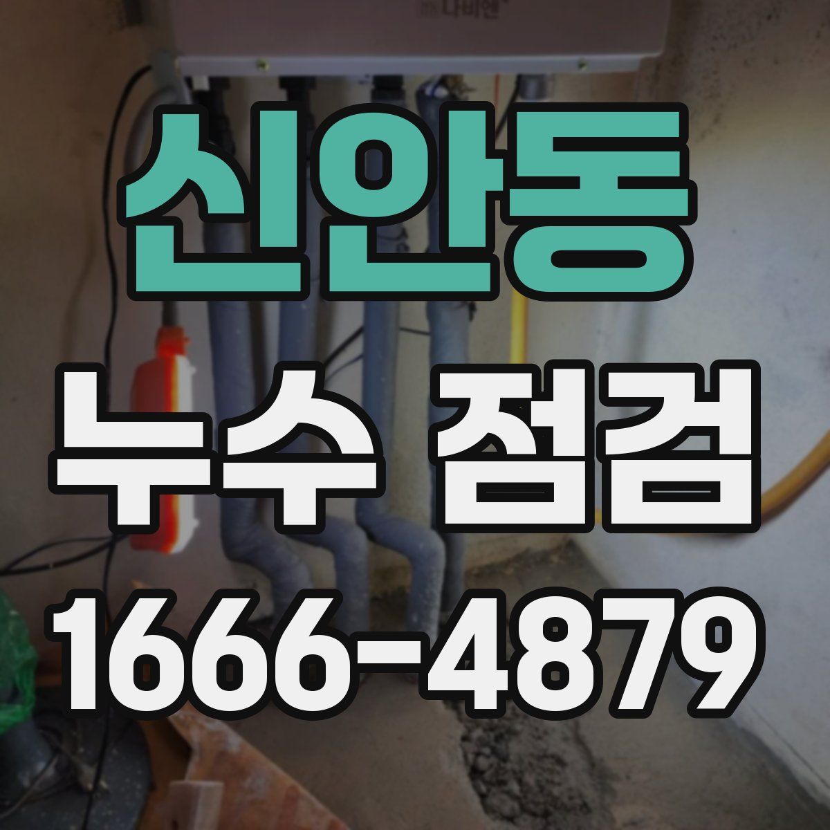 신안동 누수 점검