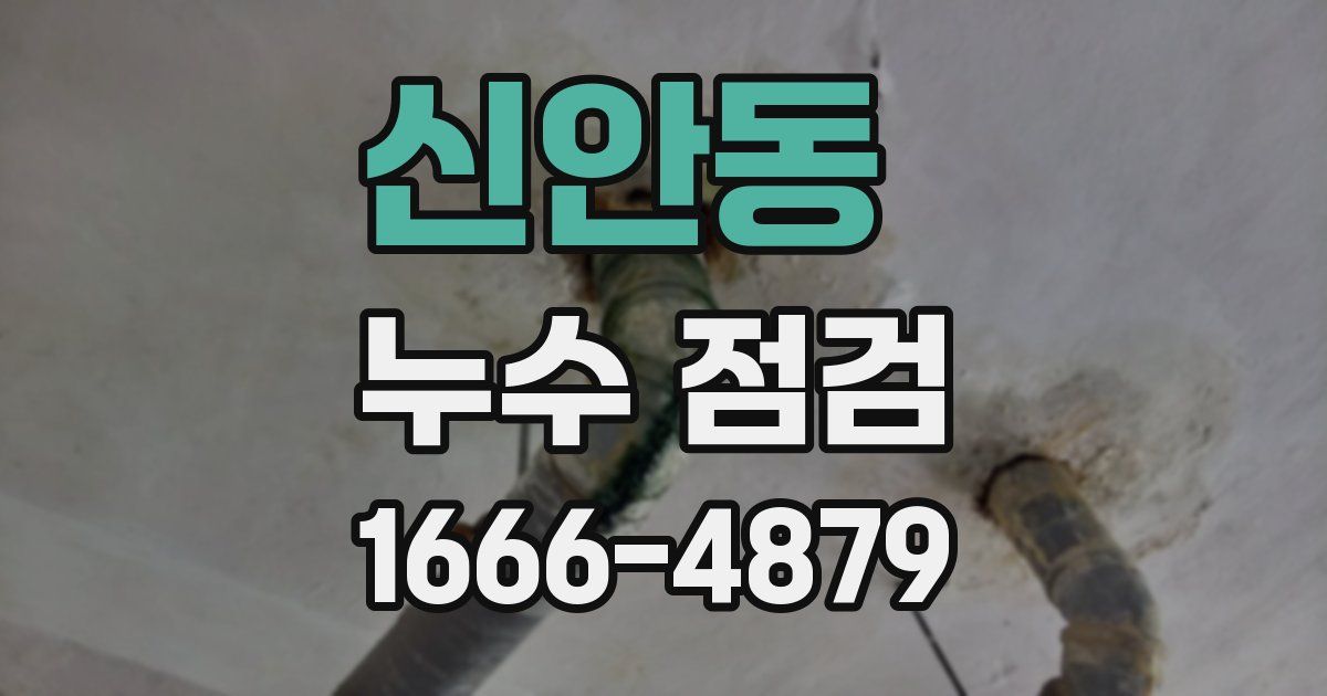 신안동 누수 점검