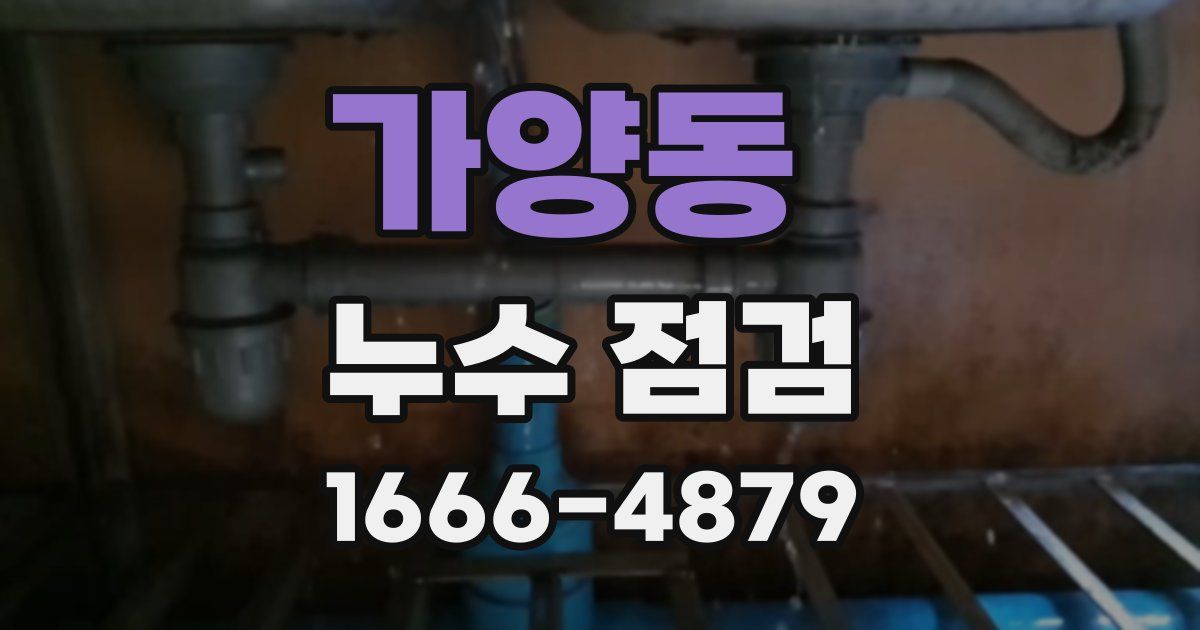 가양동 누수 점검