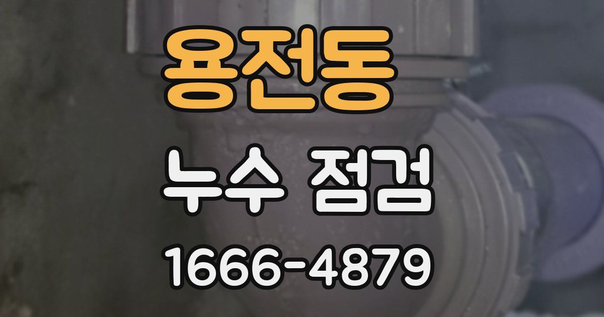 용전동 누수 점검