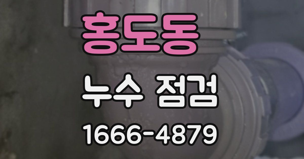 홍도동 누수 점검