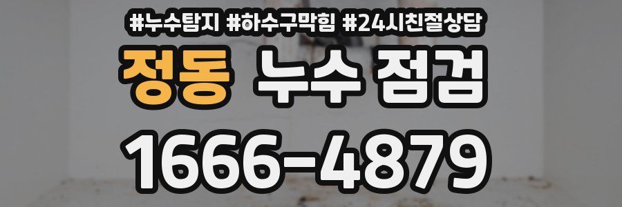 정동 누수 점검