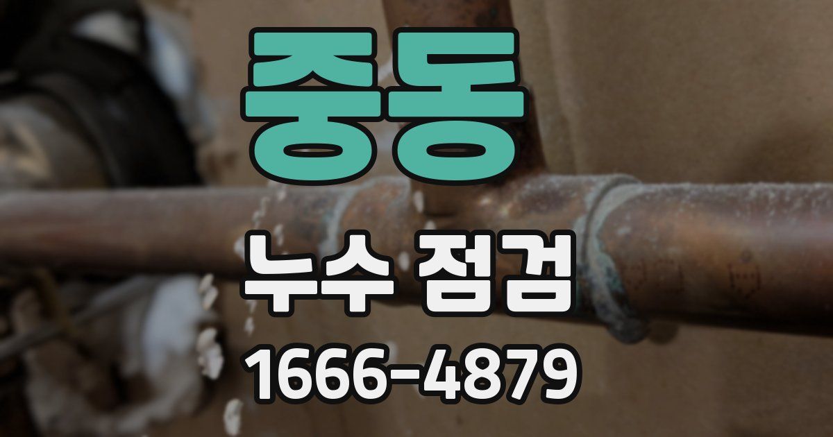 중동 누수 점검