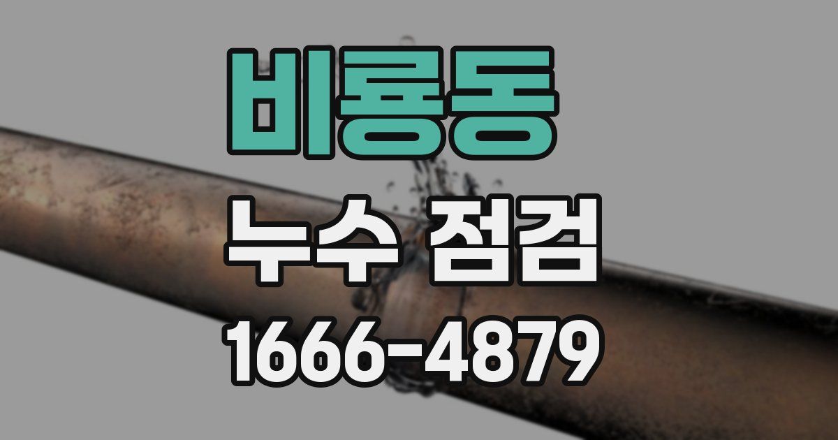 비룡동 누수 점검