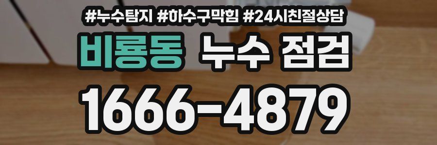 비룡동 누수 점검