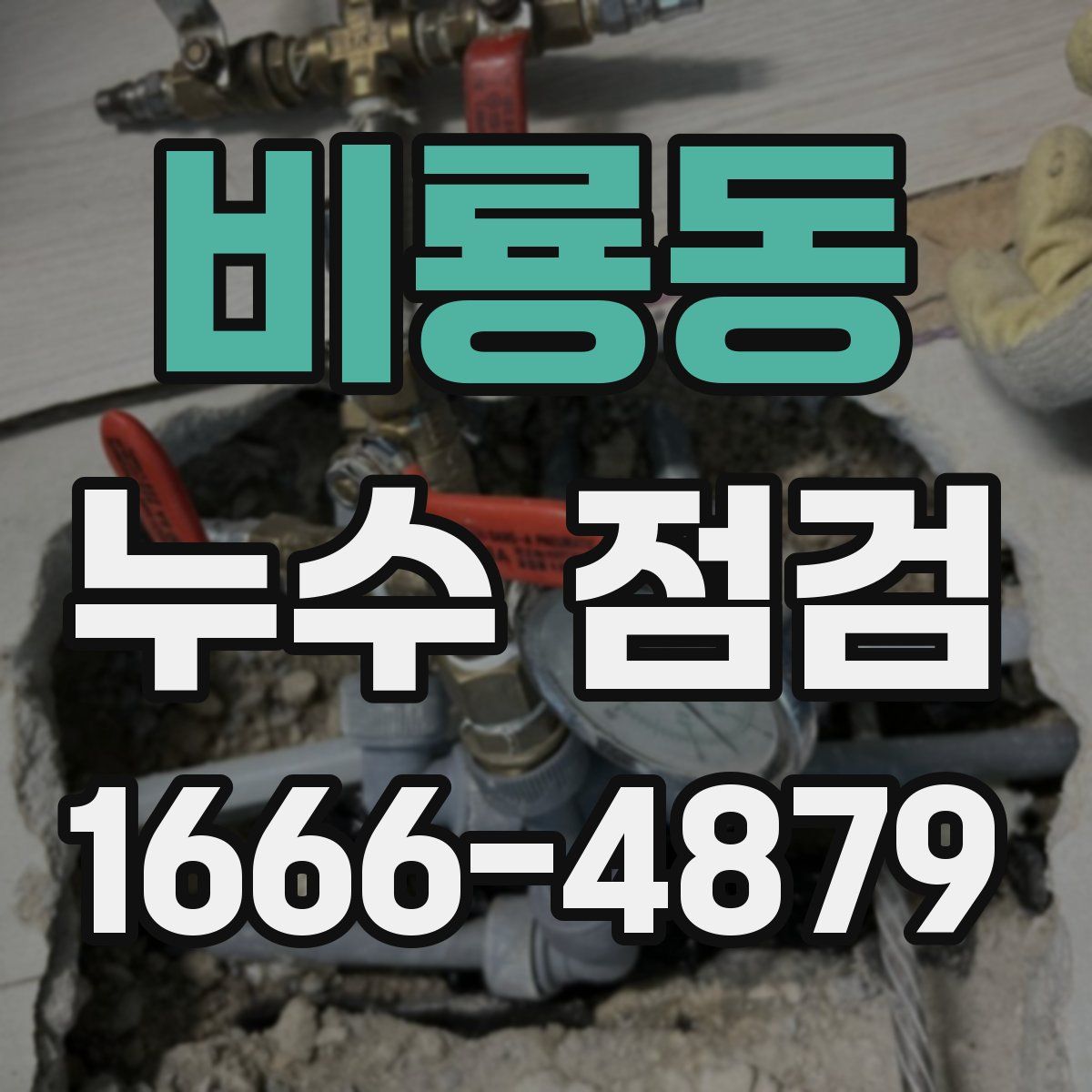 비룡동 누수 점검