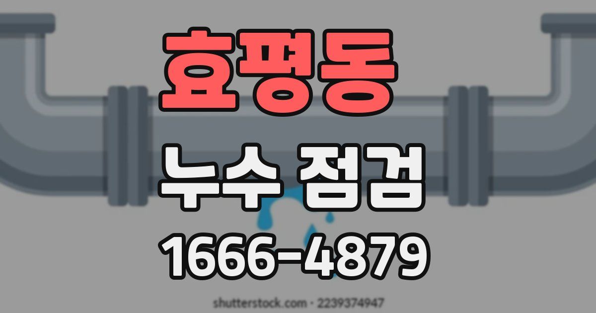 효평동 누수 점검