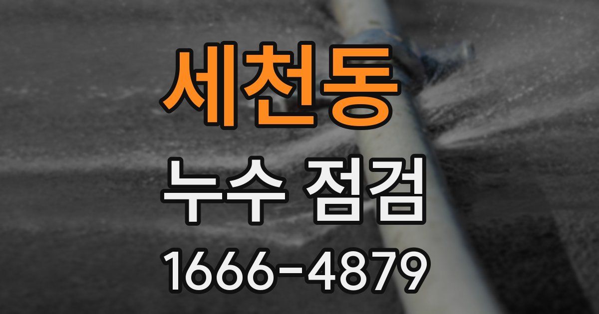 세천동 누수 점검