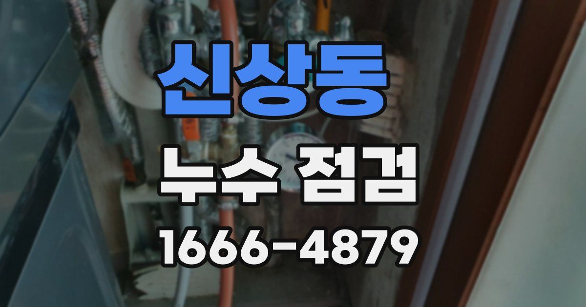 신상동 누수 점검