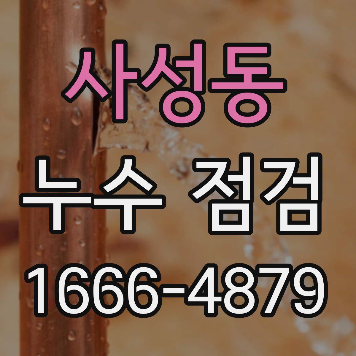 사성동 누수 점검