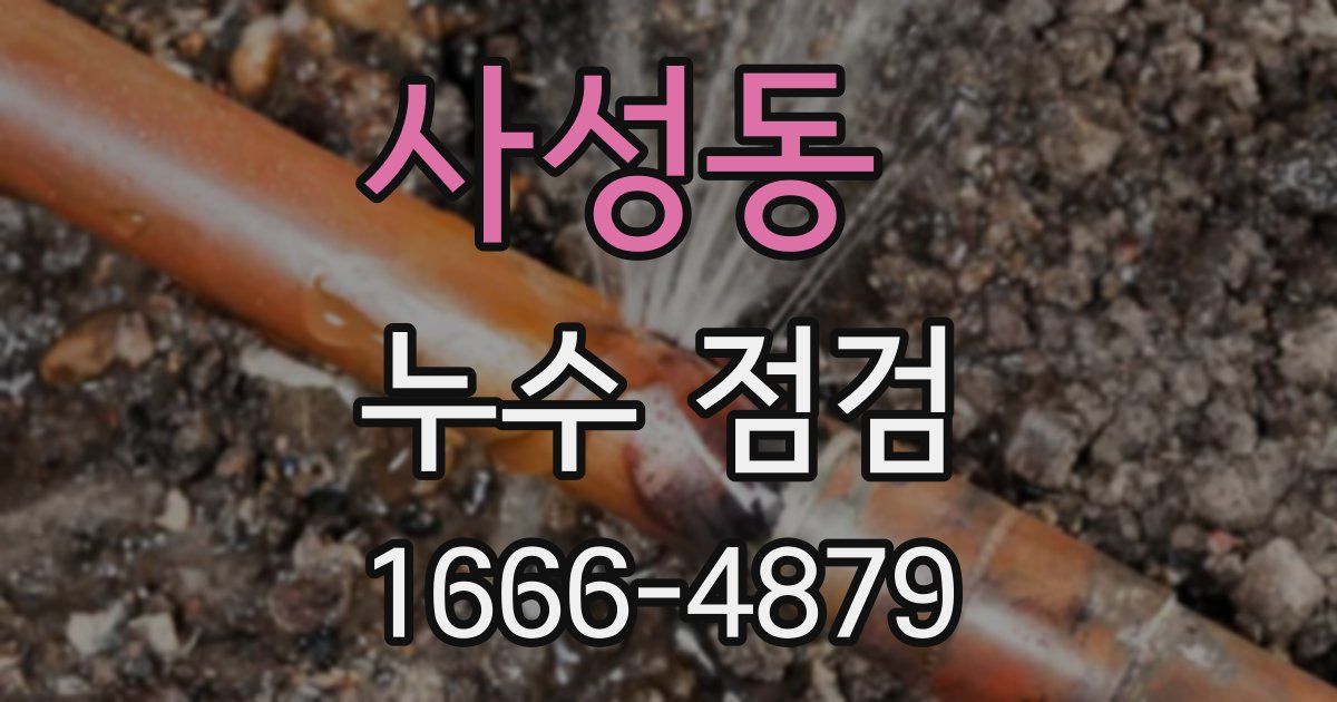 사성동 누수 점검