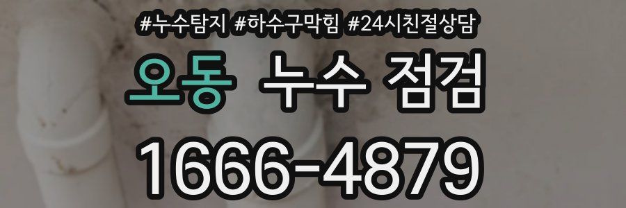 오동 누수 점검