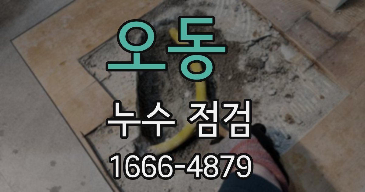 오동 누수 점검