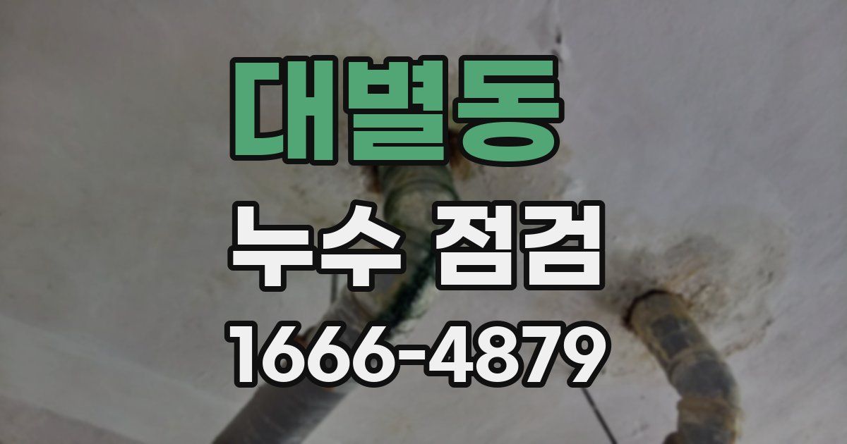 대별동 누수 점검
