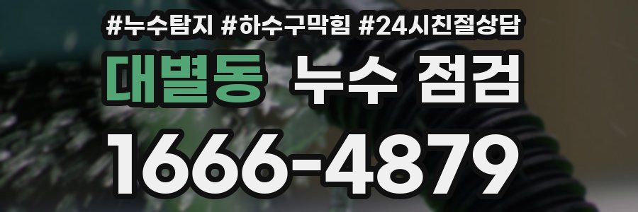 대별동 누수 점검