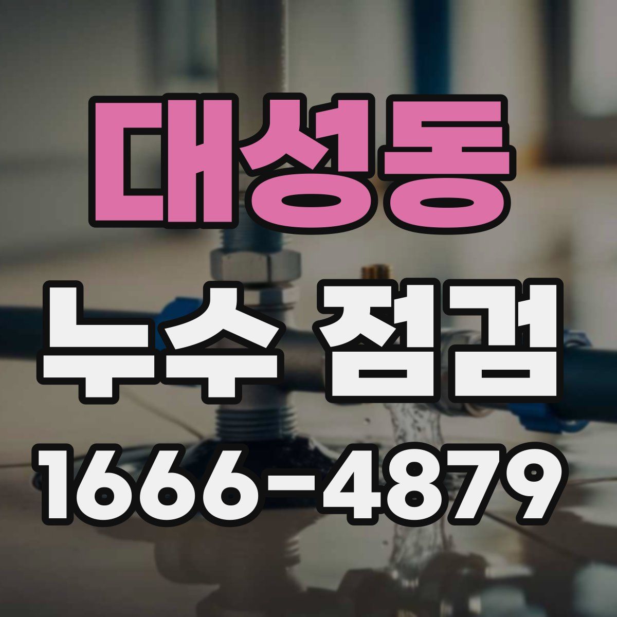 대성동 누수 점검