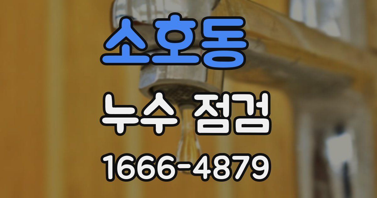 소호동 누수 점검