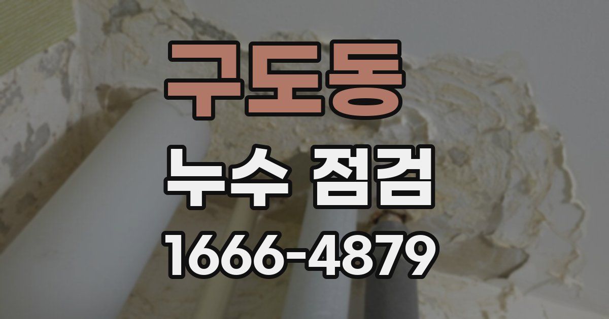 구도동 누수 점검