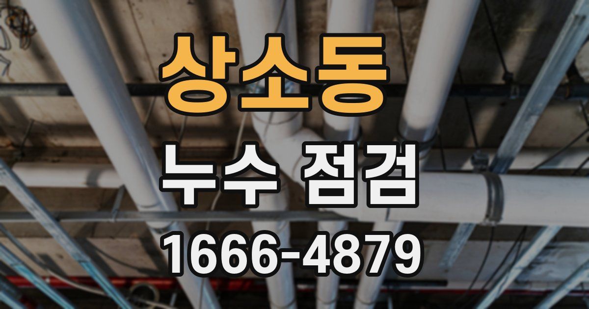상소동 누수 점검