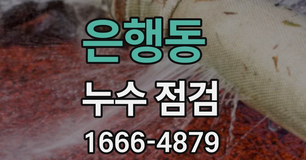 은행동 누수 점검