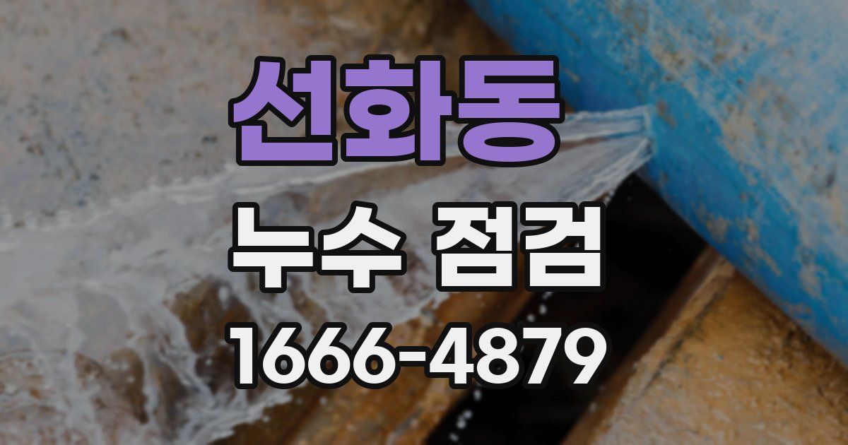 선화동 누수 점검