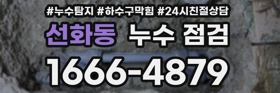 선화동 누수 점검