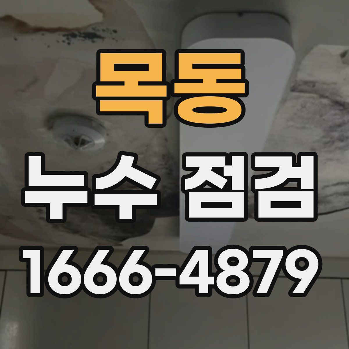 목동 누수 점검