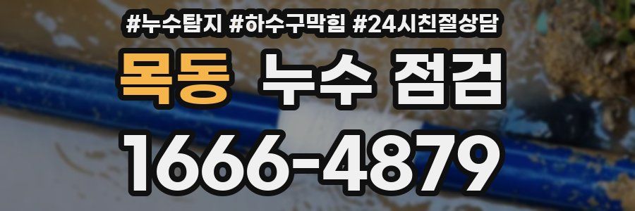 목동 누수 점검