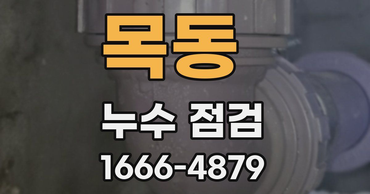목동 누수 점검