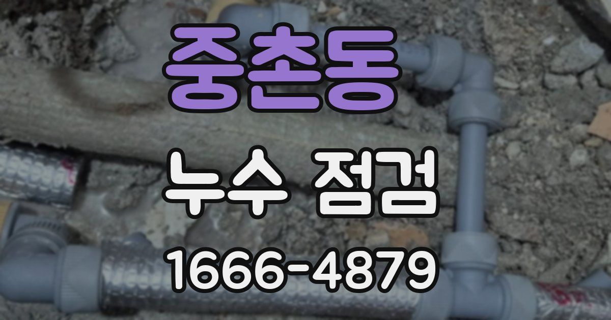 중촌동 누수 점검