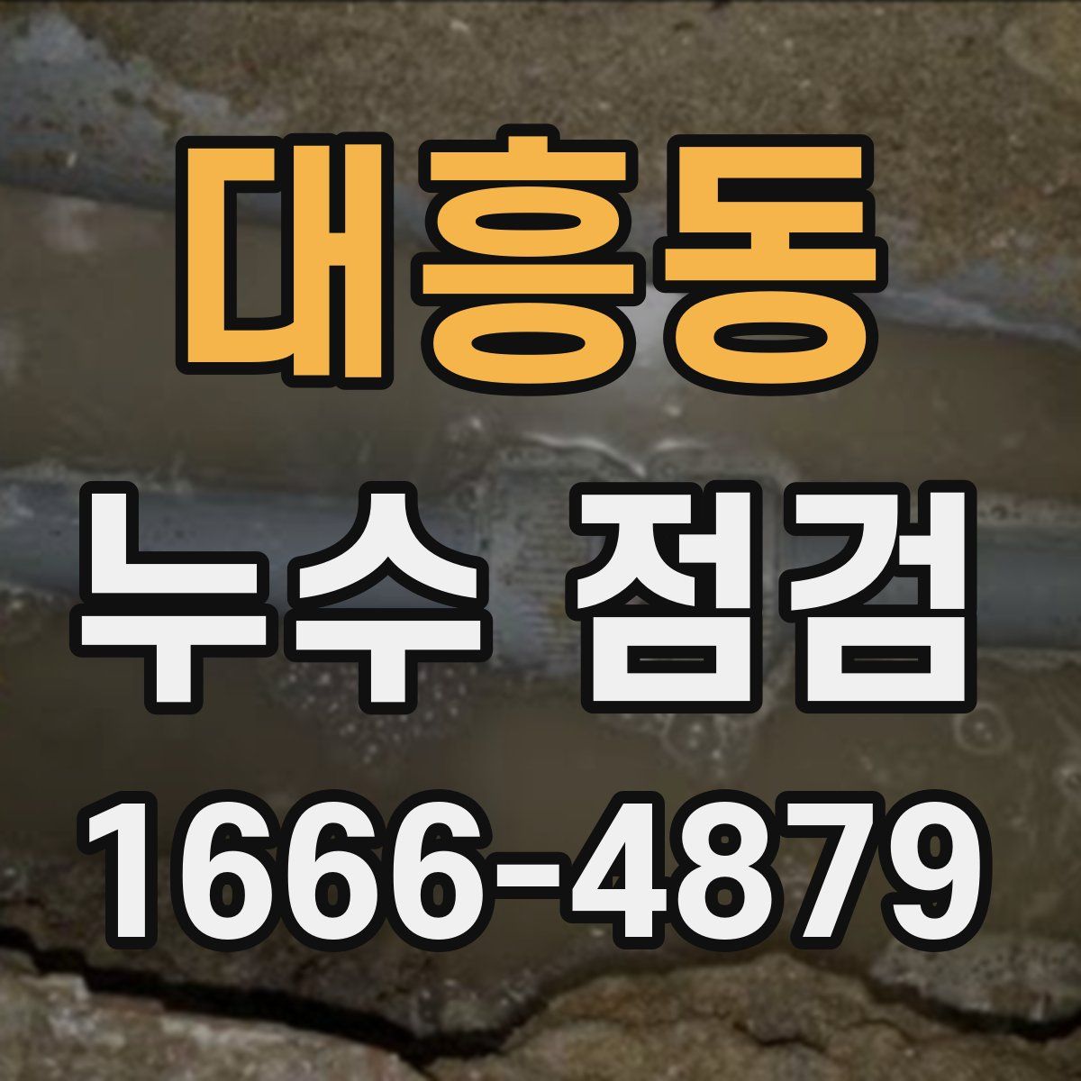 대흥동 누수 점검