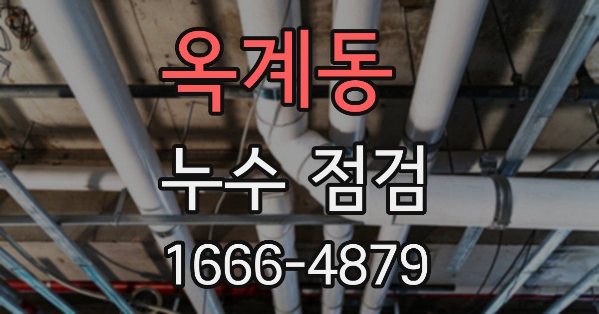 옥계동 누수 점검