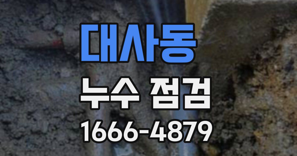 대사동 누수 점검