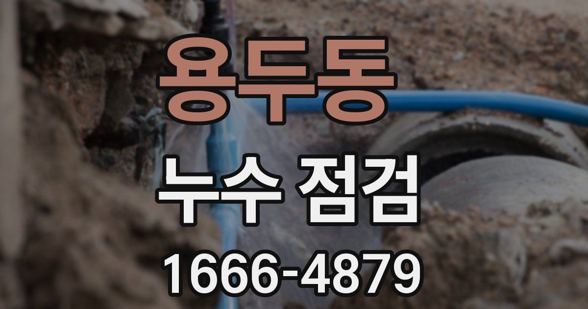 용두동 누수 점검