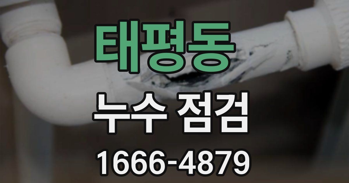 태평동 누수 점검
