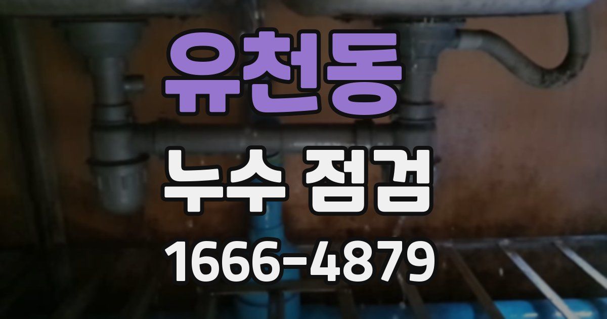유천동 누수 점검