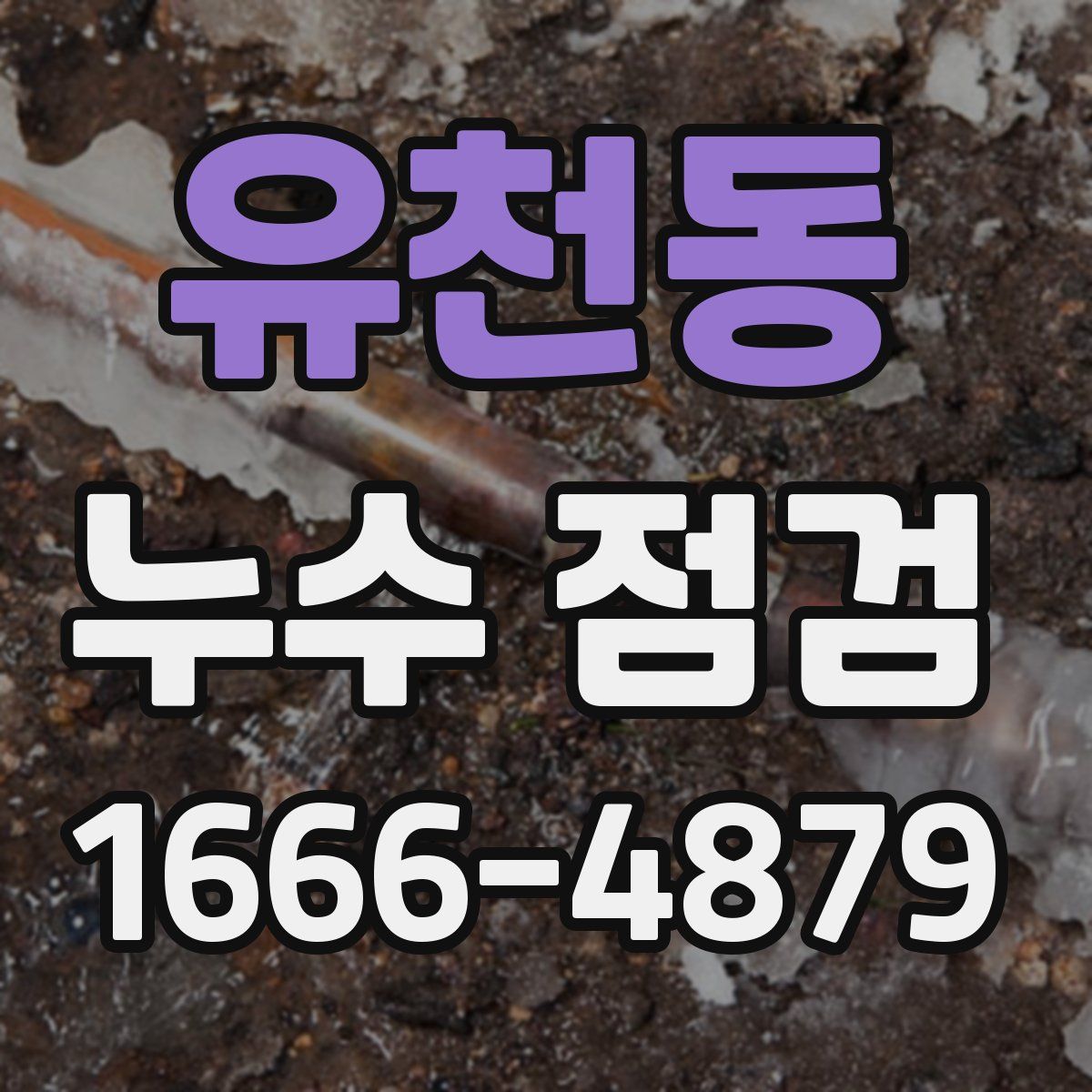 유천동 누수 점검