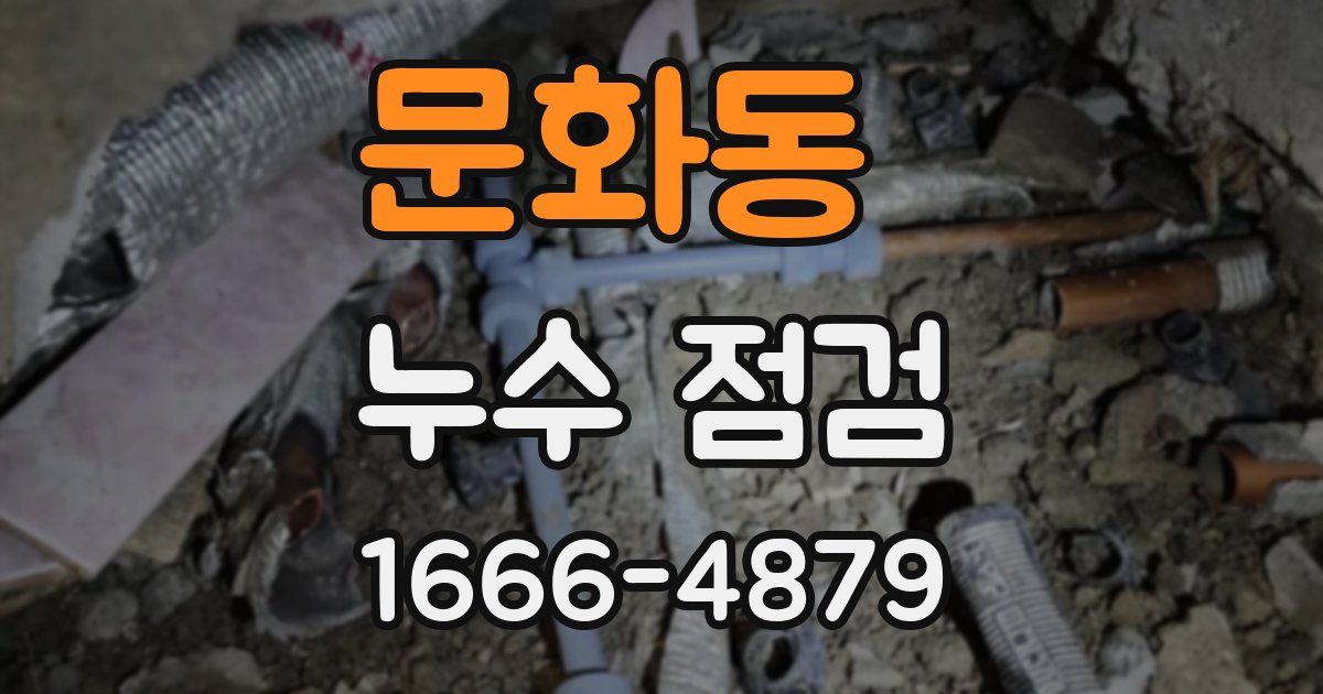문화동 누수 점검