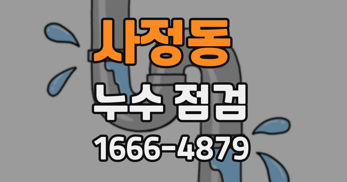 사정동 누수 점검