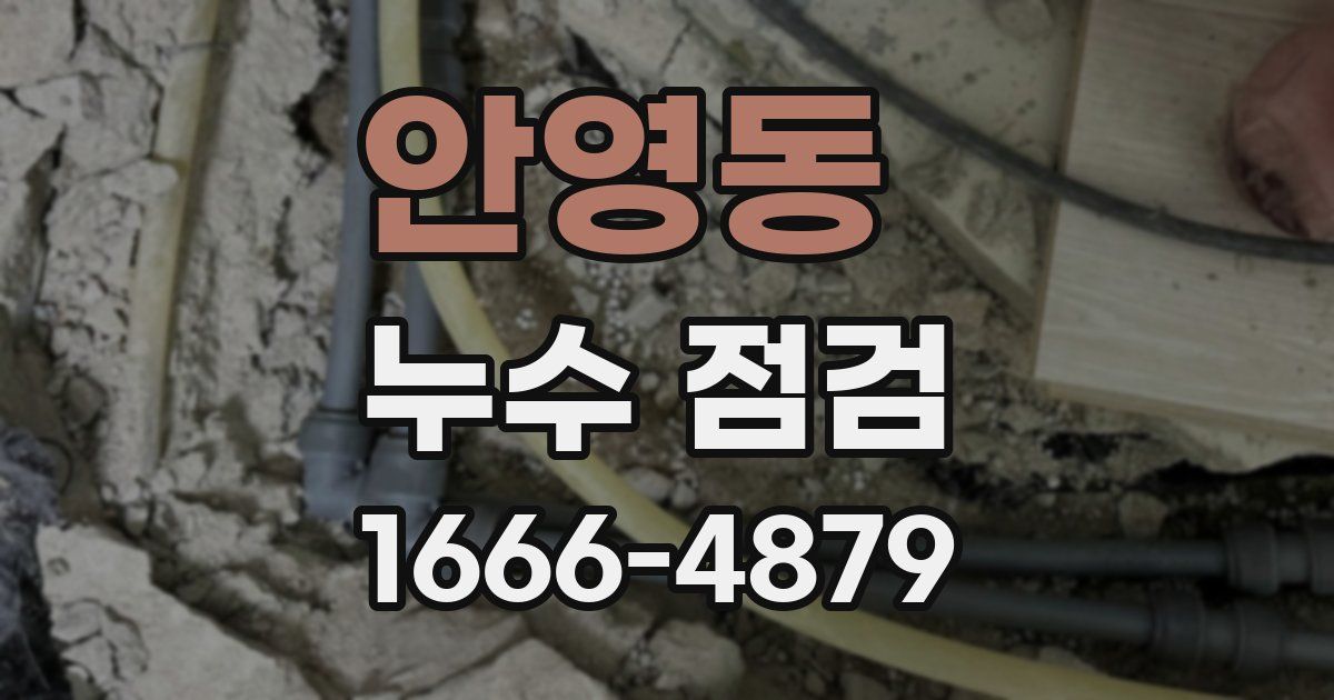 안영동 누수 점검